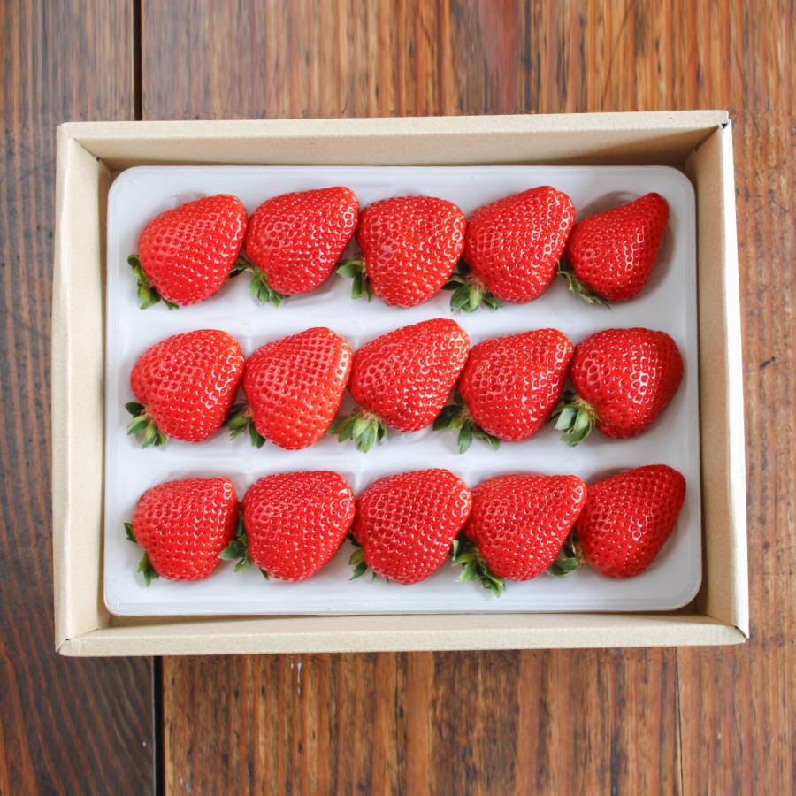 ＜いちご農家西岡農園＞勝占いちご15粒　3～4月発送