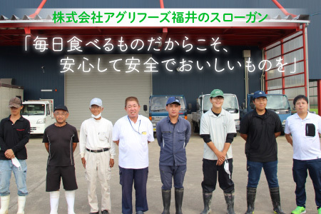 【令和7年産】 おおかわさんちのこしひかり 5kg 精米 コシヒカリ [A-10810]