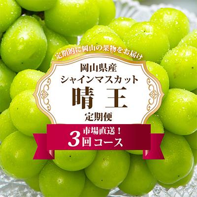 ふるさと納税 里庄町 【発送月固定定期便】岡山県産 シャインマスカット『晴王』定期便全3回