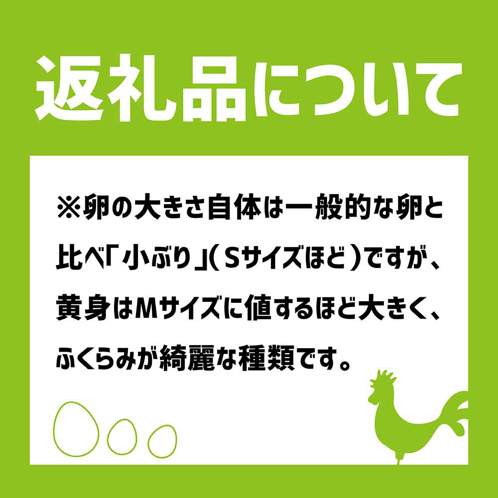 【ふるさと納税】土佐ジローの卵 定期便（12個入り×6回）もみ殻梱包 ブランド卵 タマゴ たまご 卵 毎月 定期コース 土佐ジロー 卵焼き 卵かけごはん 卵料理 送料無料 お取り寄せ【J00024】