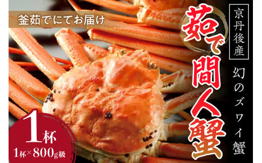 【幻のズワイ蟹】京丹後産 茹で間人蟹 鮮度抜群、釜茹でにてお届け！！ 800g級×1杯　 高級 国産 海産物 甲殻類 かに カニ ずわいがに 間人蟹 茹で ボイル ふるさと納税 海鮮 松葉蟹 松葉がに 松葉ガニ 間人がに 間人ガニ たいざがに YK00083