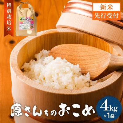 ふるさと納税 玖珠町 【令和8年産米先行受付】原さんちのお米 白米 4kg ひとめぼれ 米 お米 こめ コメ