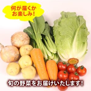 野菜セット 12品目 以上 野菜セット