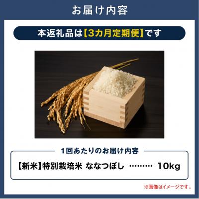 ふるさと納税 当別町 【令和8年度】大塚農場 特別栽培米ななつぼし　10kg【3ヶ月定期便】_tb17-013 |  | 01