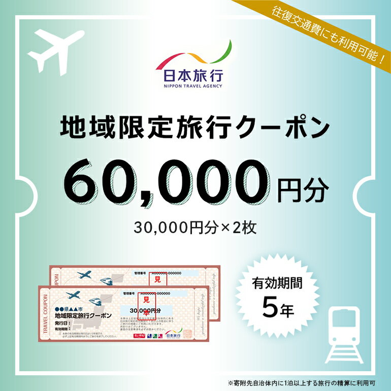 【ふるさと納税】 地域限定旅行クーポン 60,000円分 193-2