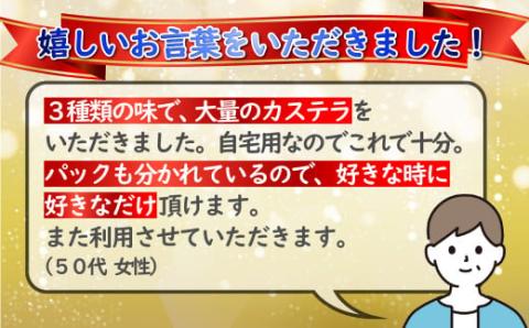 [F154p］人気抜群カステラ切り落とし3種詰め合わせ(計10入)