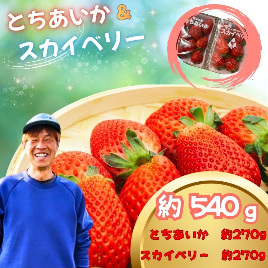 【ふるさと納税】いちご 食べ比べ セット【2027年 先行予約】 とちあいか スカイベリー 約540g | 栃木県 真岡市 苺 イチゴ 断面ハート型 大粒 高糖度 産地直送 冬 フルーツ ギフト 贈答用 プレゼント ご褒美 スイーツ 人気 旬 日本一 送料無料