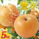 【ふるさと納税】 【先行予約】栃木県共通返礼品 豊水 | 送料無料 栃木県 下野市 梨 豊水 果物 フルーツ デザート