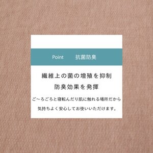 カーペット 日本製 抗菌防臭 軽量薄手 ジェミニ 261×261cm 江戸間 4.5畳用 ベージュ【1516593】