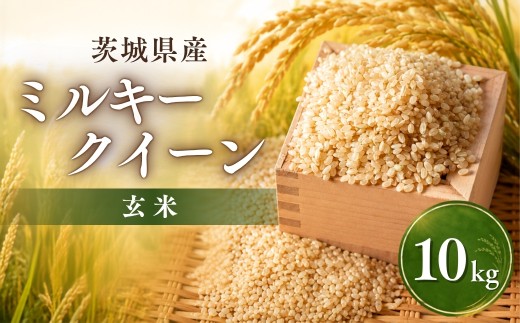 令和8年度米 ミルキークイーン 玄米 10kg 農家直送 | ミルキークイーン 米 お米 おこめ こめ 白米 精米 ごはん ご飯 ミルキー おこめ 米 クイーン 厳選米 茨城県産 産地直送 国産 冷めてもおいしい 美味しい こだわり いばらきみどり認定 甘みが強い ふっくら 艶やか 茨城県ひたちなか市産