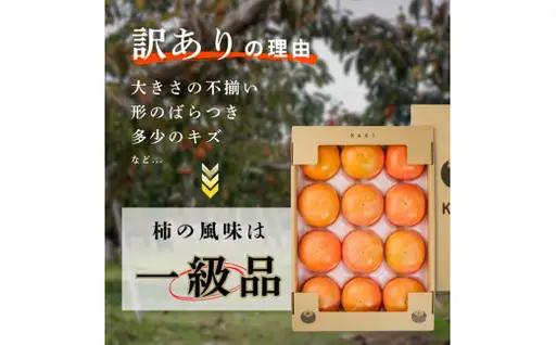 【先行予約】岐阜県瑞穂市産 訳あり富有柿 2.5kg | 柿 富有柿 ※2026年11月～発送