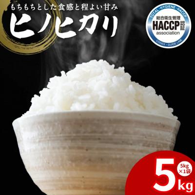 ふるさと納税 八代市 【先行予約】《令和7年産》 ヒノヒカリ 5kg×1袋 計5kg 熊本県産