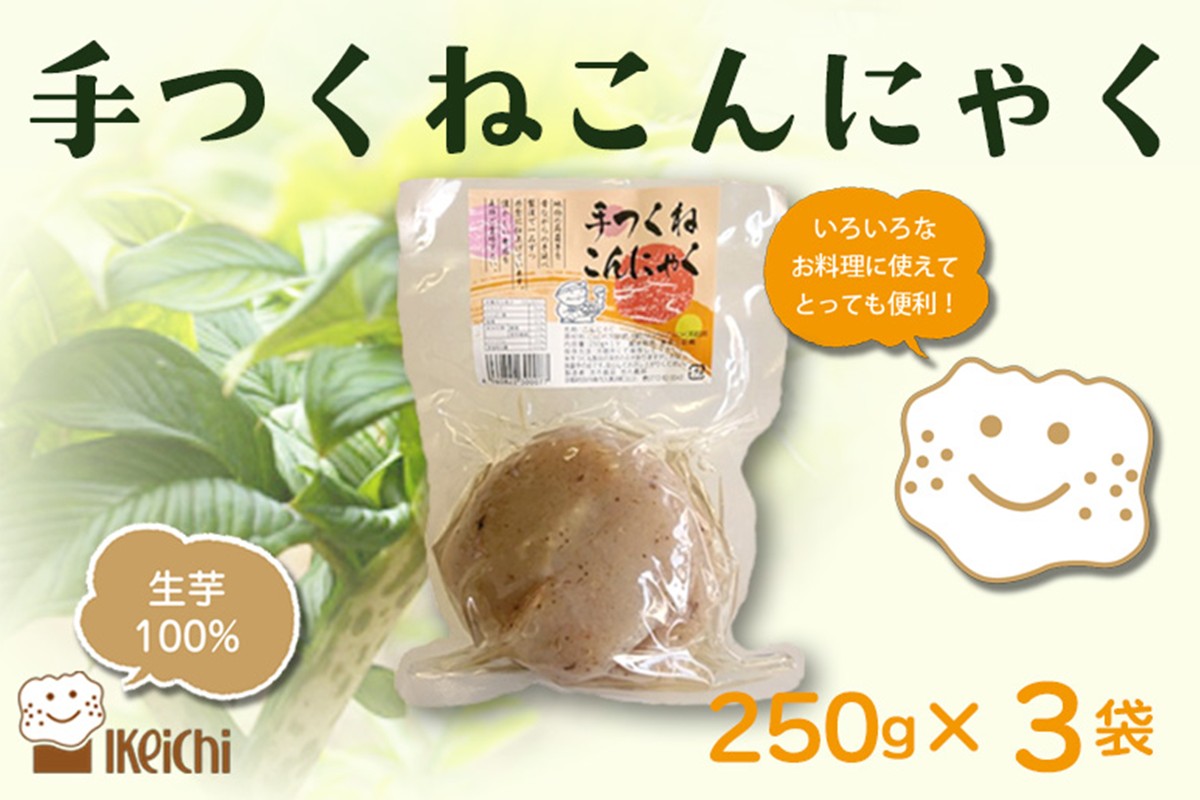 手つくねこんにゃく 250g×3袋　AM00687