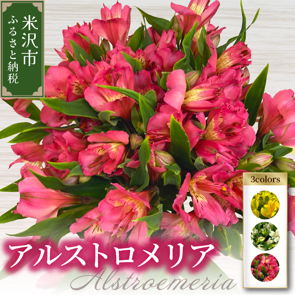 アルストロメリア 1束 ( 10本 入り ) 〔 ピンク系 〕 花 生花