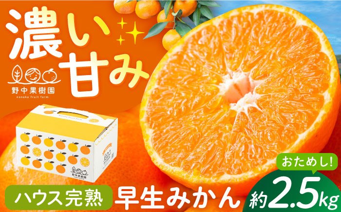 
            【先行予約】ハウス完熟早生みかん お試し約2.5キロ箱＜1月お届け＞ 長崎県/野中果樹園 [42AAAP002] 長崎県産 みかん かんきつ 柑橘 フルーツ 果物 旬 ミカン オレンジ 贈答 ギフト 贈り物 お取り寄せ プレゼント
          
