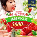 【ふるさと納税】いちご狩り体験割引券 | いちご狩り 体験型 3000円 割引券 収穫 熊本県 玉名市 玉名 熊本 送料無料