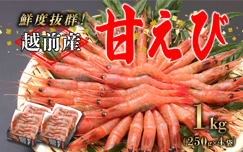 【選べる容量！】【小分け】越前産冷凍甘えび 約250g × 4パック 合計約1.0kg