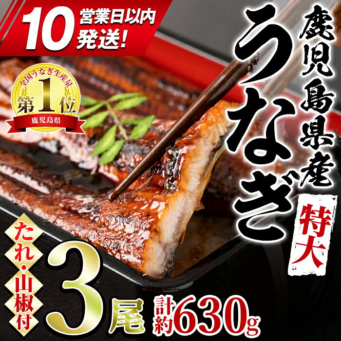 東串良町のうなぎ蒲焼(無頭)(3尾・計約630g・タレ、山椒付)うなぎ生産量日本一の鹿児島県！国産で安心！豊富な地下水で育った鰻の蒲焼き！【アクアおおすみ】