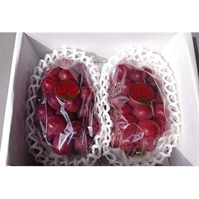 パリッと皮ごと食べられるマスカットビオレ1.3kg【配送不可地域：離島】