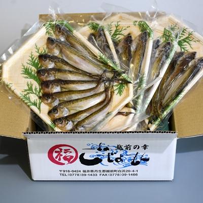 ふるさと納税 越前町 【越前海岸・美味直送シリーズ】一夜干しハタハタ詰合わせ　1kg(200g入×5パック) |  | 01
