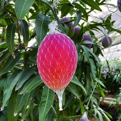 ふるさと納税 西都市 【先行受付・3回定期便】野菜・特産詰め合わせセット[2611] |  | 01