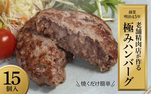 
                  国産 無添加ハンバーグ 15個（130g×15個）冷凍 小分け 個包装 黒毛和牛 国産牛 国産豚 牛肉 豚肉 洋食 お取り寄せ グルメ ハンバーグ はんばーぐ 無添加 肉系 おかず 精肉店 お肉屋 人気 京都 舞鶴 プレゼント 贈答 ギフト 真空パック おかず 肉 おすすめ
                