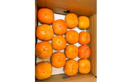 和歌山秋の味覚　平核無柿（ひらたねなしがき） 約4kg 化粧箱入　※2024年10月上旬頃～2024年10月下旬頃順次発送（お届け日指定不可）【uot701】