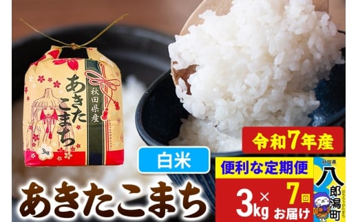 《定期便7ヶ月》【新米】 あきたこまち 3kg×1袋【白米】令和7年産 秋田県産 こまちライン