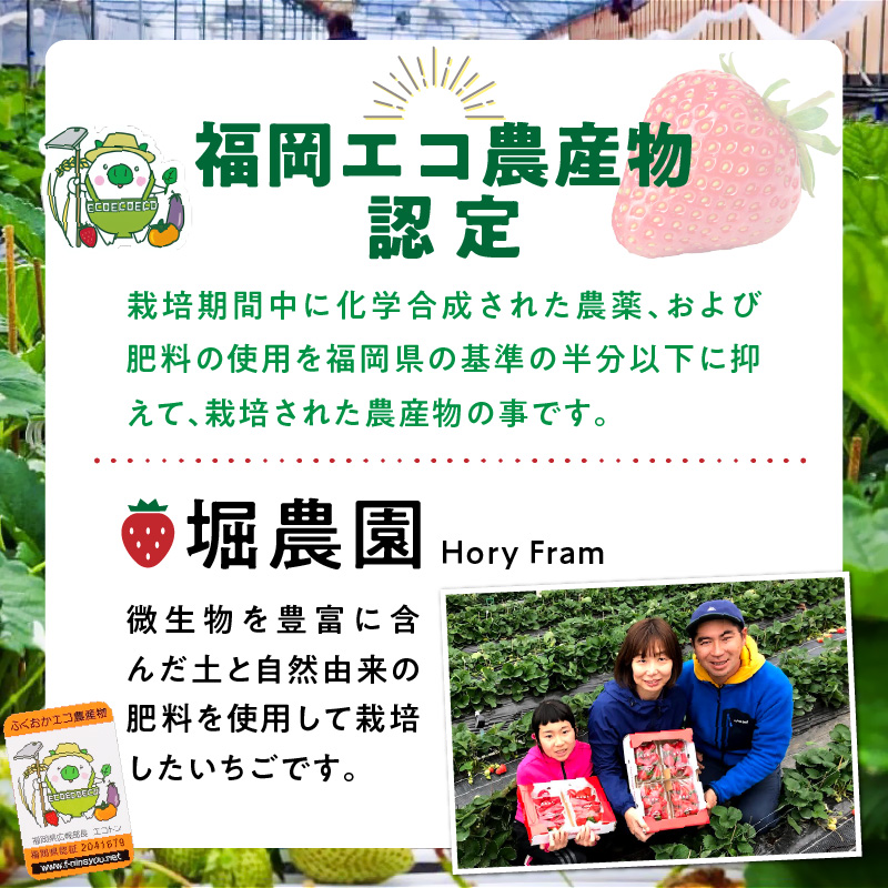 【先行予約】福岡県エコ農産物認定　堀農園のあまおう400g_エコ農産物認定 堀農園 あまおう 200g × 2パック 計 400g 完熟 食べ頃 いちご チルド便 大粒 甘み 程よい 酸味 バランス 