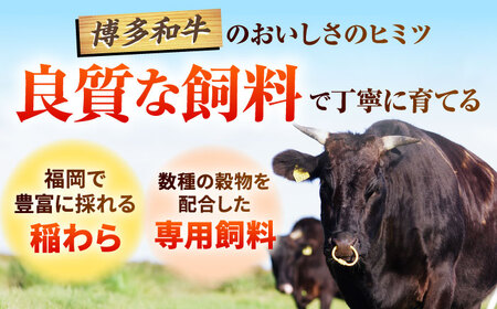 【全6回定期便】【A4～A5】博多和牛 サーロインステーキ 1kg(250g×4枚) 吉富町/株式会社MEAT PLUS[BGAB119]