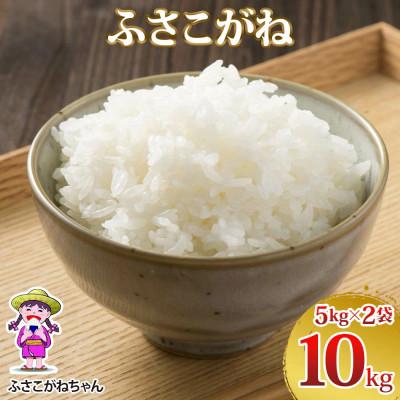 ふるさと納税 袖ケ浦市 令和8年産 ふさこがね 精米 10kg(5kg×2)