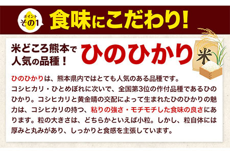 令和5年産 ひのひかり 無洗米 10kg 《30日以内に出荷予定(土日祝除く)》  5kg×2袋 熊本県産 米 精米 ひの 熊本県 南阿蘇村
