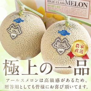 農家直送!和歌山県御坊市産アールスメロン2玉≪先行予約 2027年7月頃より順次発送分≫【0262-5】