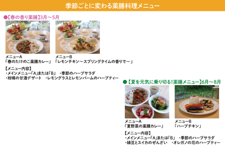 【数量限定】水戸市植物公園ガイドツアー＆薬膳料理体験（ペアチケット）（KD-1）