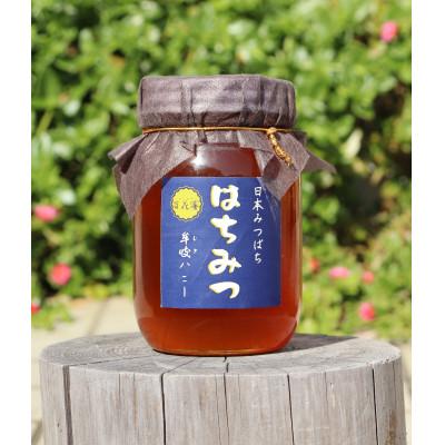 ふるさと納税 牟岐町 牟岐ハニー　日本ミツバチの百花蜜　600g