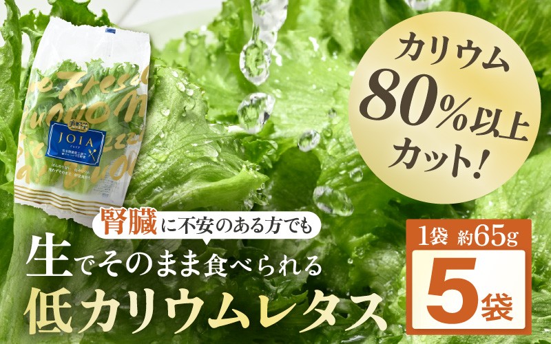 
                  低カリウム水耕レタス JOIA（ジョイア） 約65g×5袋【機能性×美味しさ】（栽培期間中農薬不使用・洗わず食べられる） 【野菜 生野菜 レタス サラダ お弁当 水耕栽培 洗わず食べられる 時短 付け合わせ】[m40-a015]
                