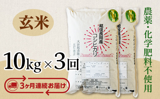 
E1-16【3ヶ月連続お届け】新潟県長岡産コシヒカリ玄米10kg
