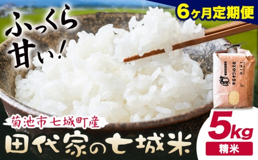 【6ヶ月定期便 】令和7年産 菊池市七城町産 田代家の七城米 七城ヒノヒカリ 白米 5kg 田代こめや《お申込み翌月から出荷》熊本県 菊池市 米 お米 精米 ひのひかり 菊池市産 熊本県産 九州産 送料無料