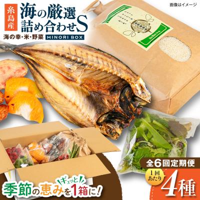 ふるさと納税 糸島市 全6回定期便 糸島産 魚 米 野菜 果物 厳選詰め合わせ MINORI BOX S [AOP021]