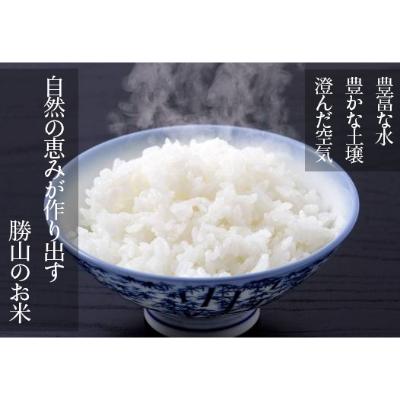 ふるさと納税 勝山市 勝山産コシヒカリ　ちゃまごん米　5kg　精米 |  | 01