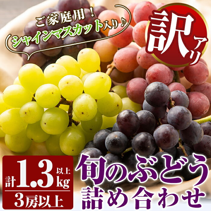 【ふるさと納税】＜期間限定！2025年8月下旬～10月末までの間に発送予定＞《訳あり・数量限定》シャインマスカット入り旬のぶどう・ご家庭用詰め合わせ(計1.3kg以上・3房以上)シャインマスカット・巨峰・ピオーネ等の旬の葡萄詰合せ【二月田ぶどう園】