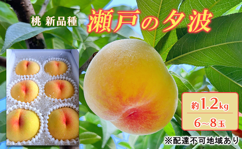 桃 2025年 先行予約 瀬戸の夕波 KU-PP2 約1.2kg 6～8玉 新品種 モモ もも フルーツ 果物 岡山 赤磐市産