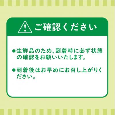 ふるさと納税 宗像市 【ギフト】キウイフルーツ「博多甘うぃ」約1.4kg化粧箱入り【ほたるの里】_HA0943 |  | 03