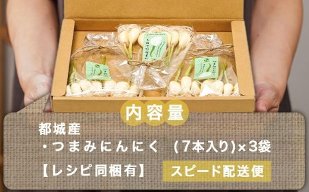 スーパーフード！つまみにんにく 7本入り×3袋≪みやこんじょ特急便≫ - つまみにんにく 7本入 3袋 水耕栽培 発芽にんにく レシピ同梱 にんにく特有のにおい残りが少ない 冷蔵配送 LA-C901-