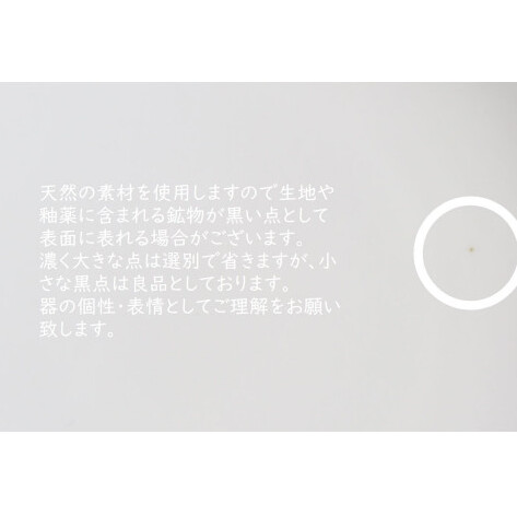 有田焼 白マット輪花桔梗渕6.5寸皿＋丸リング箸置き/各2個セット 深海三龍堂 スタイリッシュ シンプル 食器 おしゃれ モダン 白い器 A25-343_イメージ5
