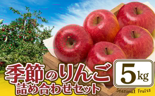 期間・数量限定【陽気な母さんの店】Ｒ7年産「季節のりんご詰合」（5kg）75P3407 / 東北 秋田 大館 リンゴ りんご 林檎 果物 フルーツ ふじ 紅あかり 王林 シナノゴールド りんご詰め合わせ りんごセット セット 果物セット くだものセット おいしい ジューシー 農家直送