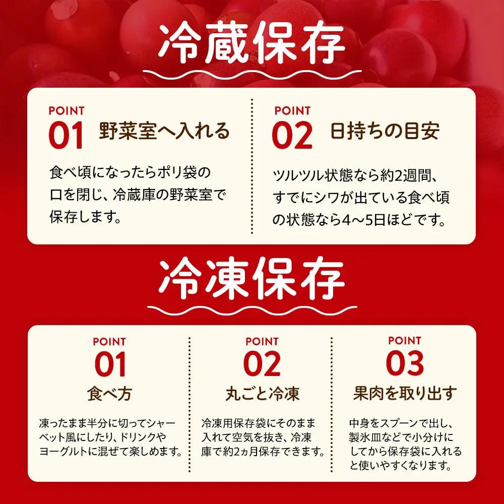 【2027年発送先行受付】絶品パッションフルーツL玉(16玉)“屋久島の恵み”と“愛情”込めて！