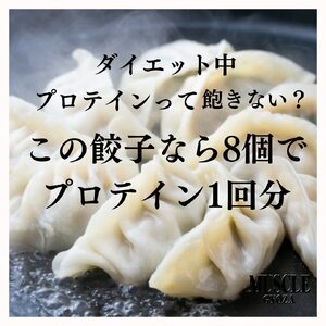 MUSCLE GYOZA ~マッスルギョーザ　～冷凍餃子40個入り1袋 | 餃子 ギョーザ ダイエット マッスルギョーザ 長野県 松本市 信州産 ふるさと納税
