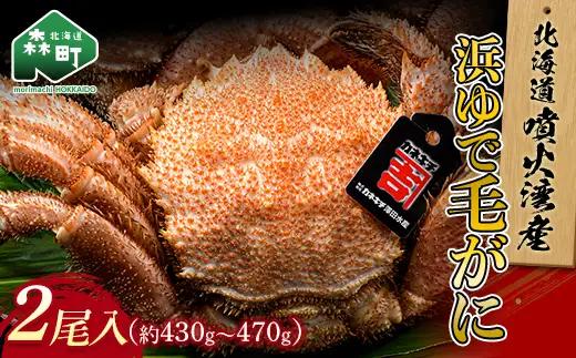 【北海道 噴火湾産】 浜ゆで毛がに 2尾 約430g～470g＜カネキチ澤田水産＞ かに カニ 蟹 ガニ がに 森町 ふるさと納税 北海道 毛蟹 毛かに 毛ガニ 毛カニ mr1-1478