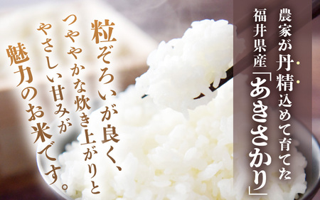 定期便 ≪3ヶ月連続お届け≫ 令和8年産 坂井市産 あきさかり 10kg (5kg×2袋) ×3回 (計30kg) 【玄米】米 コメ お米 [D-10203_02]